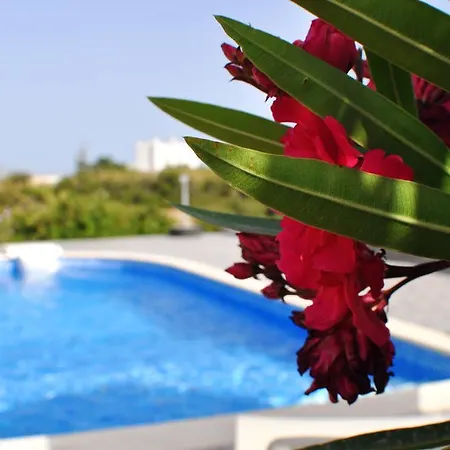 וילה Ariadne House Agia Anna (Naxos)