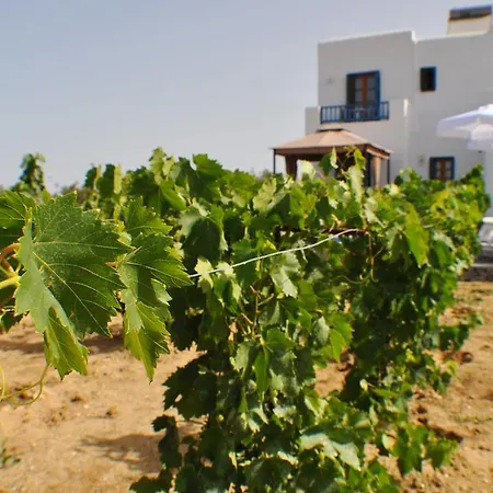וילה Ariadne House *
